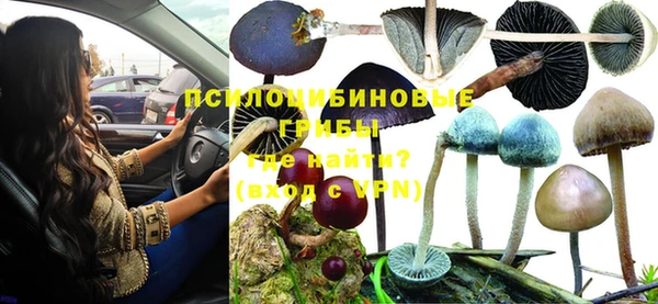 ALPHA PVP Алзамай