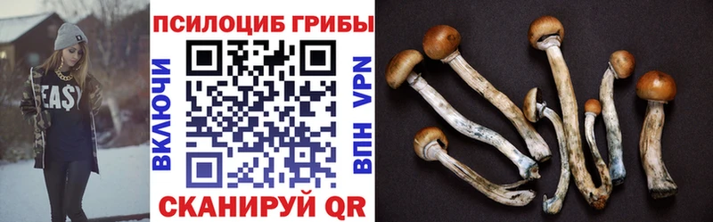 Галлюциногенные грибы мицелий  Купить где  Кисловодск 